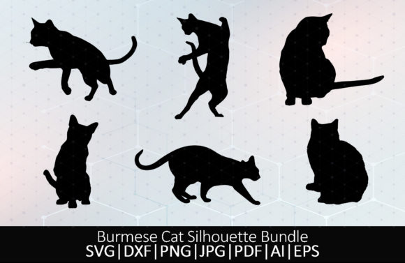 Burmese Cat Silhouette Bundle SVG Review